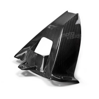 Lèche roue carbone bmw s1000rr 2009-2018 s1000r 2013-2016