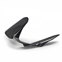 Lèche roue carbone ducati 797 2017-