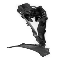 Tête de fourche partie centrale carbone vernis bmw s1000rr 2015-2018