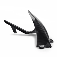 Lèche roue carbone avec guide chaine bmw s1000r s1000rr 2009-2018