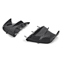 Ailettes carbone vernis pour ducati panigale v4 2018-