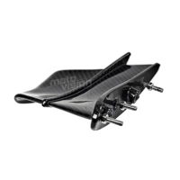 Ailettes carbone vernis pour ducati panigale v4 2018-