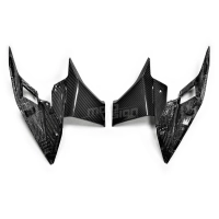 Flancs de carénage carbone vernis ktm superduke 1290 2017-2019