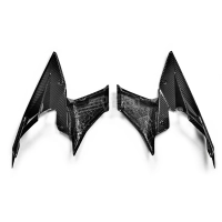 Flancs de carénage carbone vernis ktm superduke 1290 2017-2019