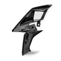 Flancs de carénage carbone vernis ktm superduke 1290 2017-2019