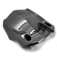 Lèche roue carbone yamaha mt10 2017