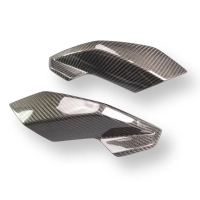 Caches latéraux de tête de fourche carbone bmw s1000r 2021- m1000r 2023-