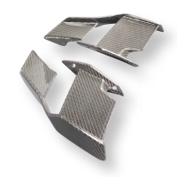 Paire d'ailerons carbone pour bmw s1000r 2023-/m1000r 2023-