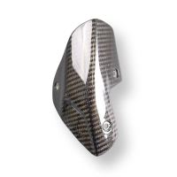 Protection d'échappement carbone bmw s1000r 2021- m1000r 2023-