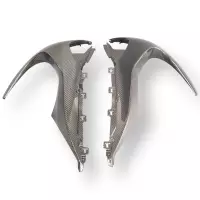 Paire de flancs de tête de fourche carbone bmw m1000rr 2023-