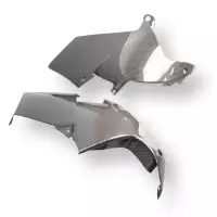 Flancs inférieurs carbone bmw m1000rr 2023-
