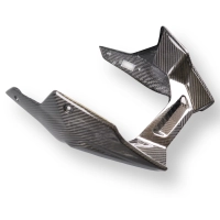 Sabot moteur carbone bmw f900xr 2020-