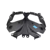 Ca7998-tg-5.jpg