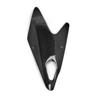 Caches radiateur eau carbone mv agusta brutale