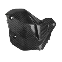 Petit panneau latéral carbone ducati panigale v4/v4s 2025