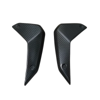Flancs latéraux carbone bmw 1300gs 2024-2026