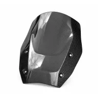 Tête de fourche carbone bmw 1300gs 2024-2026