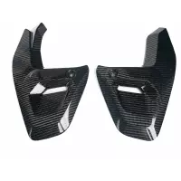 Petit flanc carbone bmw 1300gs 2024-2026