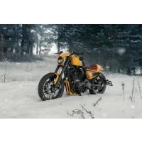 Support de plaque d'immatriculation v-rod, dyna, sportster