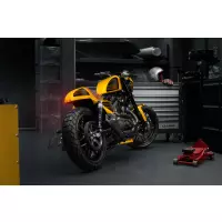Kit garde-boue arrière sportster "new racer" avec feux arrière