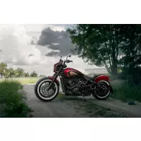 Support de plaque d'immatriculation indian scout à partir de 2015