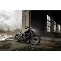 2018-2025 série "aggressor" softail standard fxst, street bob fxbb/s ensemble de couvre-fourche complet