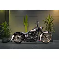2018-2025 m8 softail kit triple arbre incliné à 4 degrés slim flsl