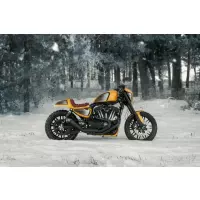 Becquet de menton sous le cadre sportster