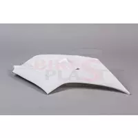 Flanc gauche poly bikesplast ducati v4 r 2019 - 2020