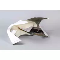 Tête de fourche poly bikeplast ducati v4 r 2019 - 2020 grosse entrée d'air