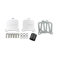 Plaque de suppression antipollution bmw s1000 r - rr - xr