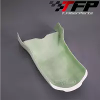 Fgs.jpg