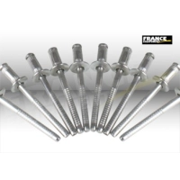 Rivets (12 pcs) - homologué  -