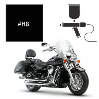 Peinture kawasaki ebony vn2000 2005-2007