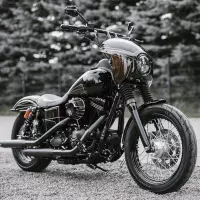 Kit de carénage pour dyna fxdl fxdb 2006-2017