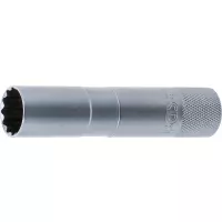 Bgs-2448