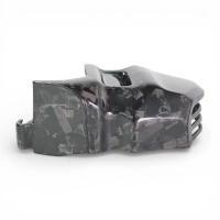 Cache dans cadre carbone honda cb1000r 2018-