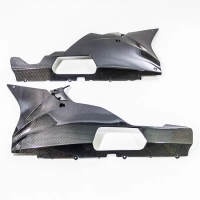 Sabot en deux parties  carbone brillant bmw s1000rr 2015 - 2016