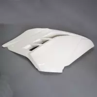 Flanc droit poly sebimoto kawasaki ninja 300 2015-