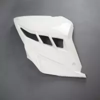 Flanc droit poly sebimoto kawasaki ninja 300 2015-