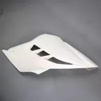 Flanc gauche poly sebimoto kawasaki ninja 300 2015-