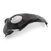 Cache central de réservoir carbone bmw f900xr 2020