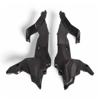 Caches sous réservoir/selle carbone bmw f900xr 2020-