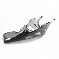Sabot carbone bmw s1000rr 2023-
