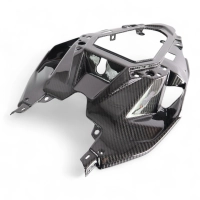 Coque arrière intermédiaire carbone bmw s1000rr 2023- m1000rr 2023-