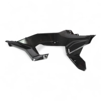 Caches sous flancs de selle carbone bmw f900xr 2020-