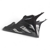 Sabot carbone bmw s1000rr 2023-