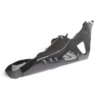 Sabot carbone bmw s1000rr 2023-