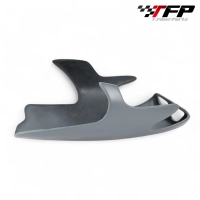 Sabot fibre de verre tfp bmw r nine t