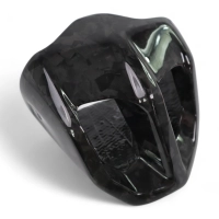 Cache pot (embout) carbone bmw f900r 2020- f900xr 2020-